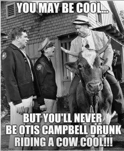 Andy griffith show - tv,